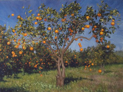 Image inconnue - Unbekannt Unbekannt